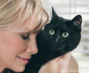 Интервью специалиста по поведению кошек Пэм Джонсон-Беннетт