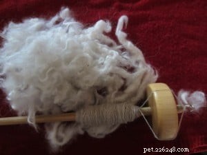 Cat Hair Yarn:Intervju med Irene Lerman från PetHair2KnitWear