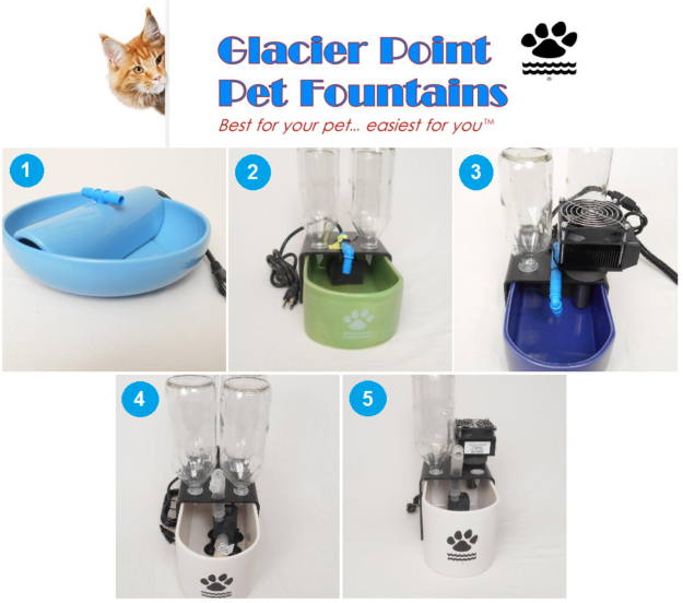 猫用グレイシャーポイント噴水–利用可能な噴水