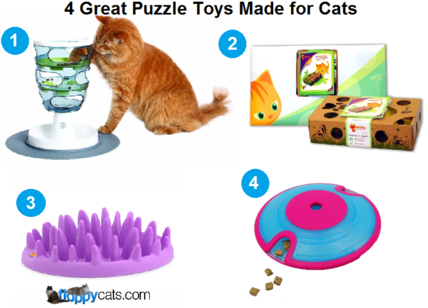 Ragdoll Cat-games voor katten die dol zijn op traktaties