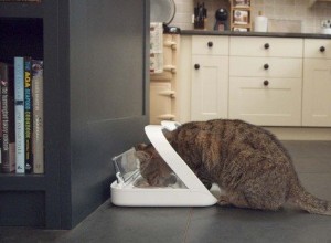 SureFeed Microchip voerbak voor huisdieren 25% KORTING Kortingscode:HUNGRYCATS