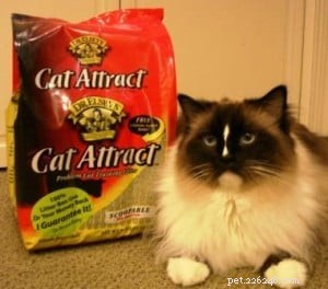 Katten trekken kattenbakvulling aan:werkt het echt?