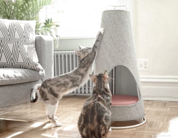 Novo produto moderno para gatos:The Cone by WISKI