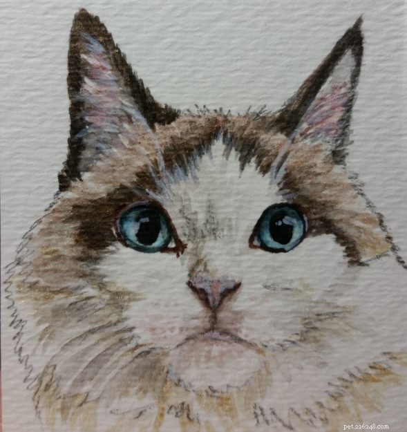 Rozhovor s Cat Artist, Halie French
