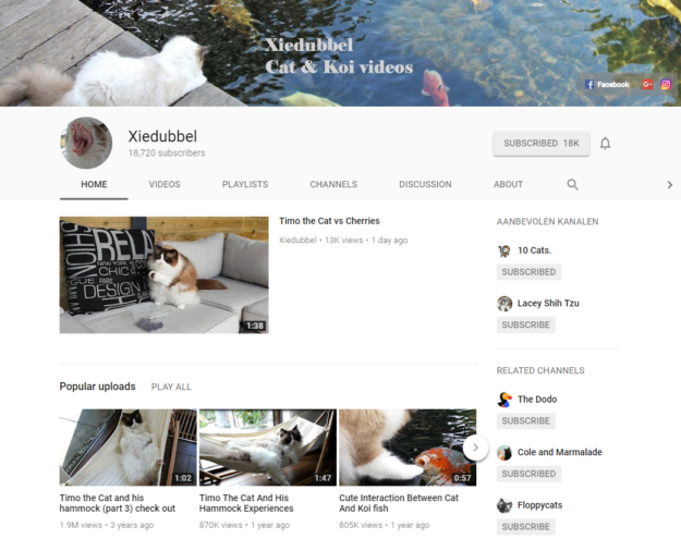 ラグドール猫のYouTubeチャンネル機能：Xiedubbel（ラグドール猫ティモをフィーチャー） 