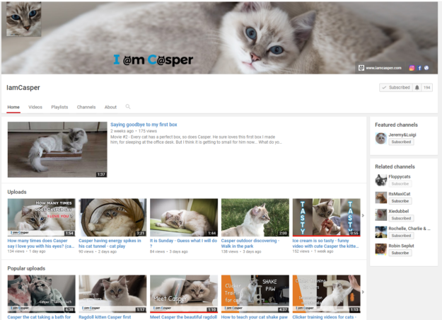Funkce kanálu YouTube Ragdoll Cat:IamCasper