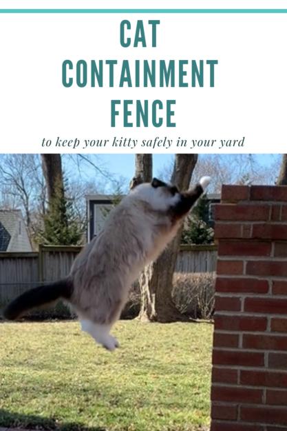 Vi presenterar Oscillot® System:A Cat Containment Solution