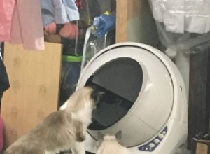 Litter Robot Multiple Cats：FAQ