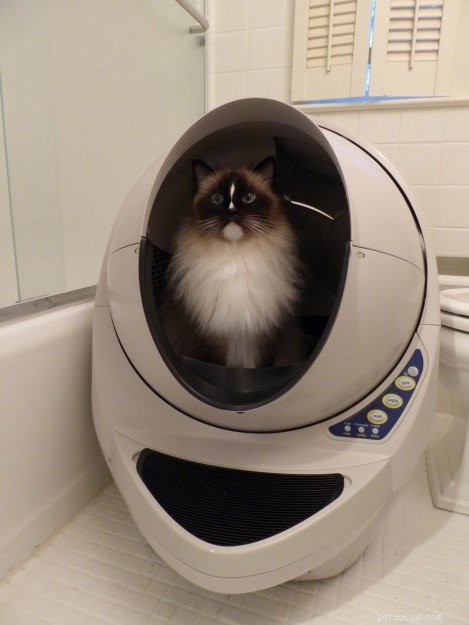 Robot de litière pour plusieurs chats :FAQ