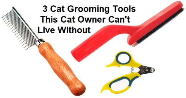 고양이 소유자가 없이는 살 수 없는 3가지 고양이 미용 도구