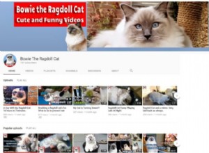 Ragdoll Cat YouTube-kanaalfunctie:Bowie the Ragdoll Cat