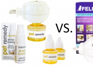 Pet Remedy vs Feliway Pet Relaxants – A Pet Remedy Perspective