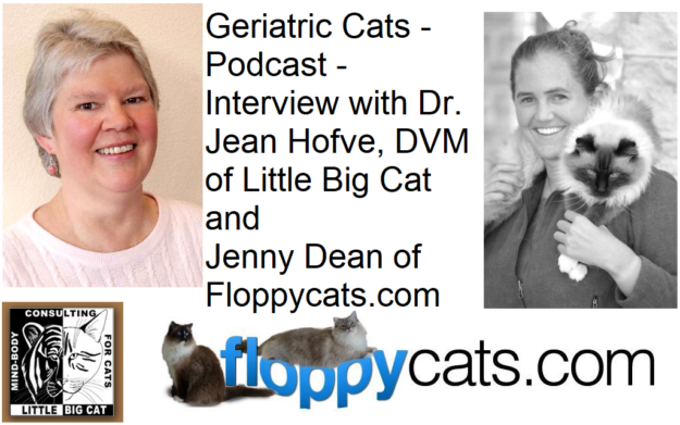 Gatos geriátricos – Entrevista com o Dr. Jean Hofve, DVM de Little Big Cat