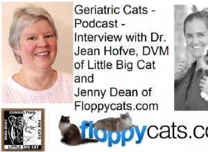 Geriatrické kočky – Rozhovor s Dr. Jean Hofve, DVM společnosti Little Big Cat