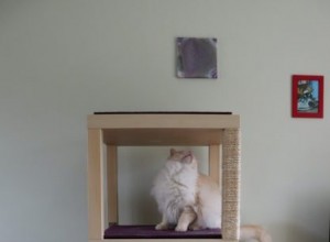 Ikea Furniture Hack:DIY Cat Tree IKEA