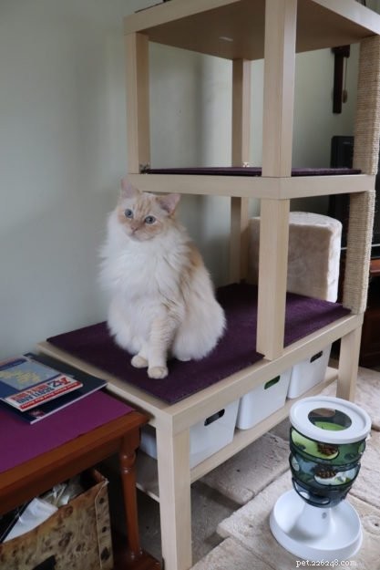 Ikea Furniture Hack:DIY 고양이 나무 IKEA