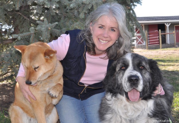 Intervista con Amy di Big Bear Pet Company Makers di KatManFood e Hoo-RAW!