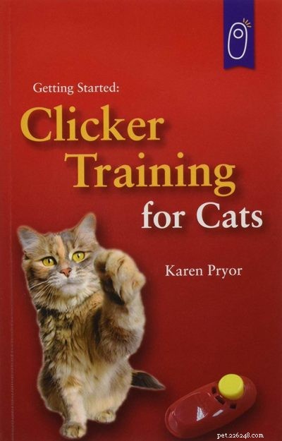 Tricks om je kat te leren