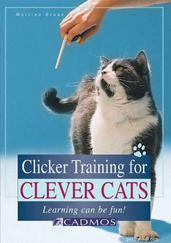 あなたの猫を教えるための秘訣 