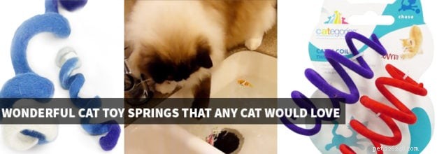 Nádherné pružiny pro kočky, které by si oblíbila každá kočka