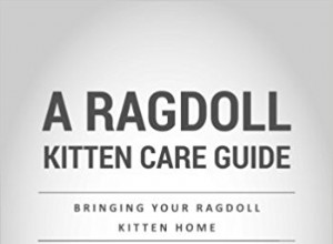 Ragdoll 색상 진행 및 개발
