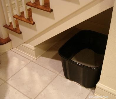 Comment changer l emplacement d une litière pour chat