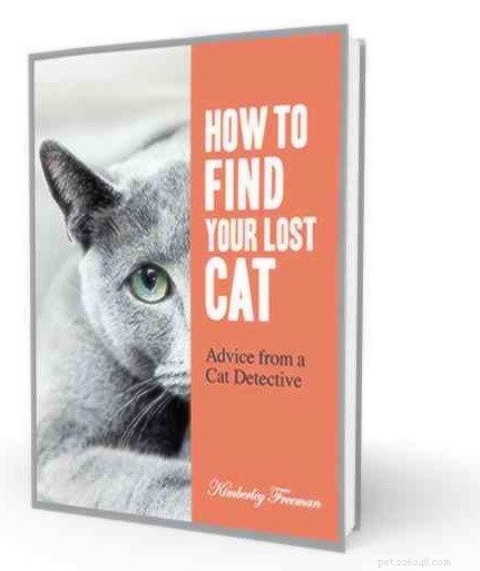 Lost Cat Finder:un intervista con Kim  The Cat Detective  Freeman
