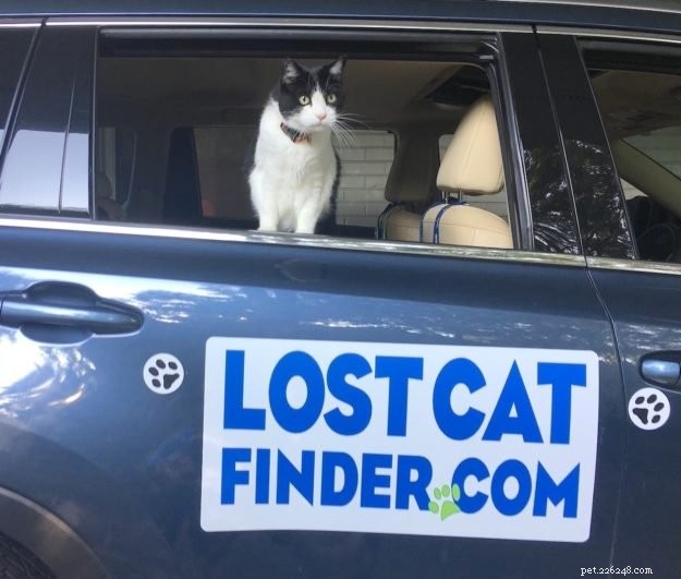 Lost Cat Finder:een interview met Kim  The Cat Detective  Freeman