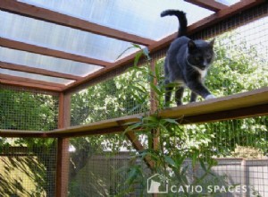 Catio s voor balkons