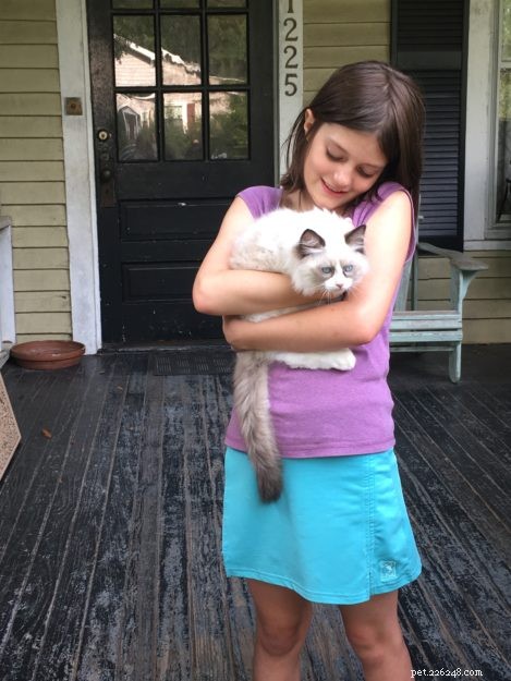 Rags and Juniper:A Story about a Seal Bicolor Ragdoll Cat