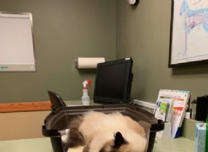 Ragdoll Cat Charlie Mission Veterinární pohotovost a speciální návštěva 25. července 2019