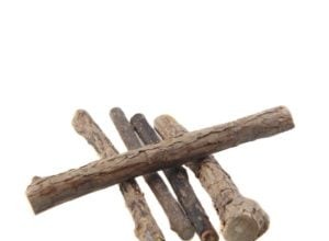 Silver Vine Sticks voor katten – Is Silver Vine veilig voor katten?