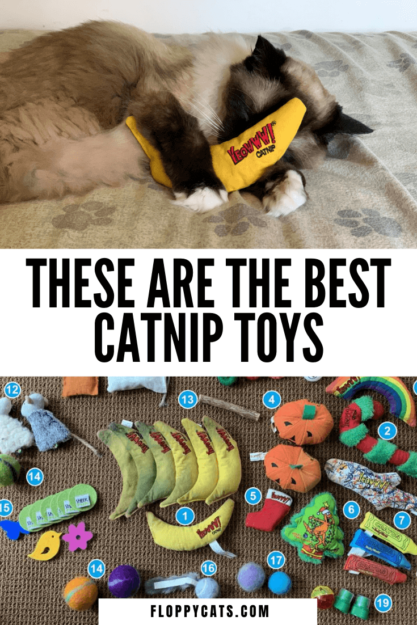 Yowww! Brinquedos orgânicos de catnip