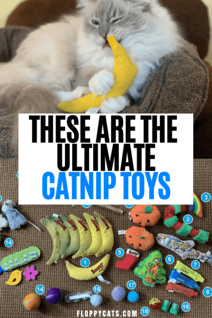 Jooow! Organické hračky Catnip