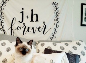 Mara Jade – Ragdoll Kitten of the Month