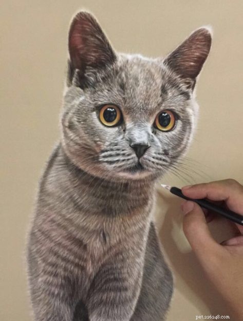 Realistiska kattteckningar och målningar:en intervju med Ivan Hoo