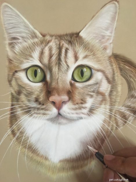 Realistické kočičí kresby a malby:Rozhovor s Ivanem Hoo