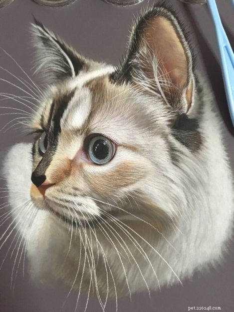 Disegni e dipinti di gatti realistici:un intervista con Ivan Hoo