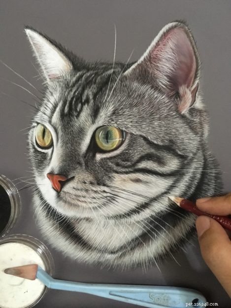 Desenhos e pinturas realistas de gatos:uma entrevista com Ivan Hoo