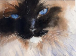 Umělec portrétů koček:Rozhovor s Rachel Parker