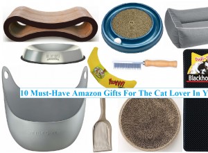 10 cadeaux Amazon incontournables pour les amoureux des chats dans votre vie