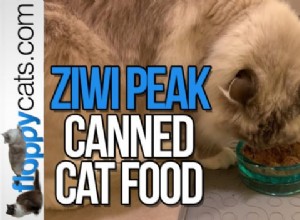Konzervované krmivo pro kočky Ziwi Peak