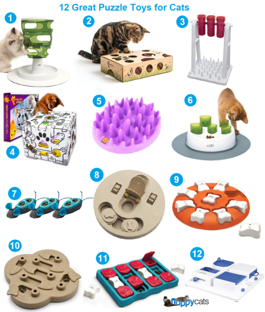 Brinquedos de quebra-cabeça para gatos