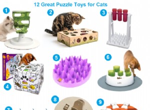 고양이용 퍼즐 장난감