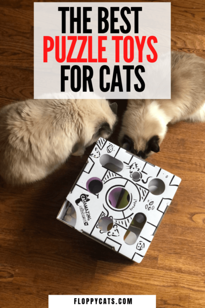 Игрушки-головоломки для кошек