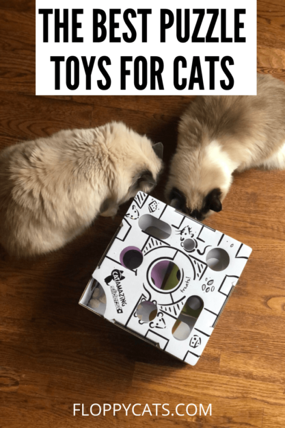 Brinquedos de quebra-cabeça para gatos