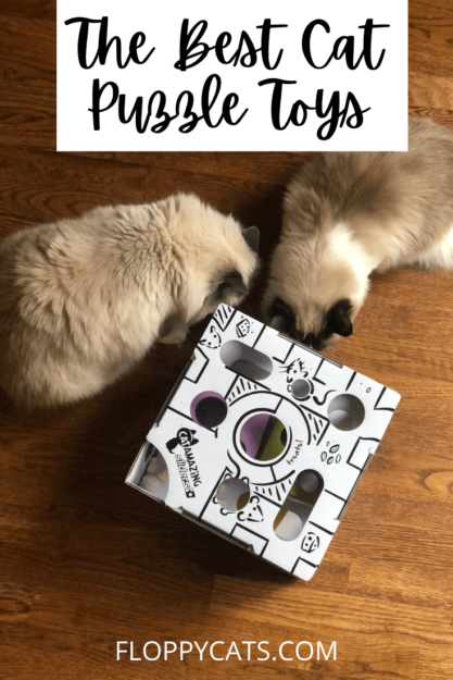 Jouets de puzzle pour chats
