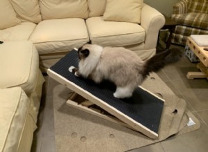 Scratchy Ramp 2-in-1 Cat Scratcher Ramp Unboxing