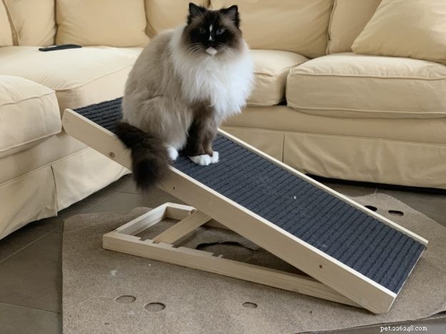 Scratchy Rampa 2-v-1 Rozbalení rampy na škrabadlo pro kočky