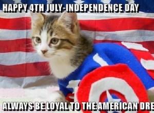 10面白い、そして愛国心が強い、7月4日の猫のミーム 